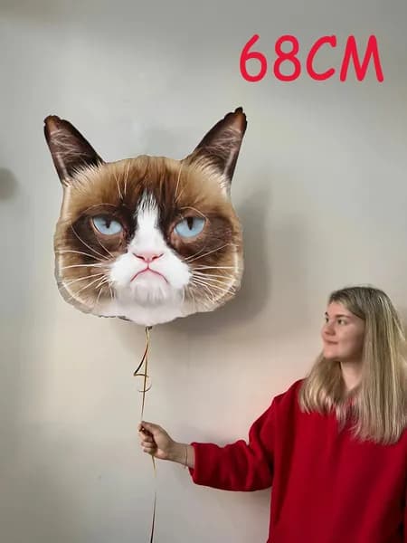 Воздушный шар Сердитая кошка в колпачке,1 шт.