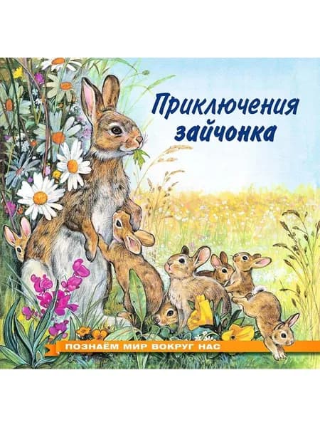 Приключения зайчонка | Гурина Ирина Валерьевна