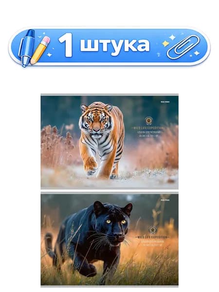 Альбом для рисования 40 листов Большие дикие кошки, на скрепке А40-8233