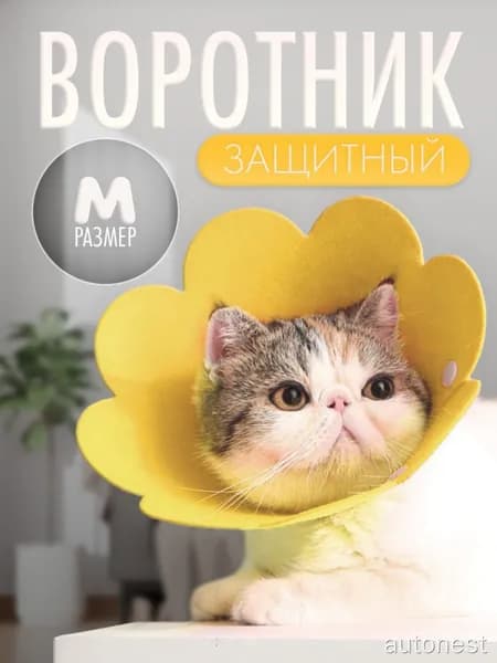 Воротник для животных