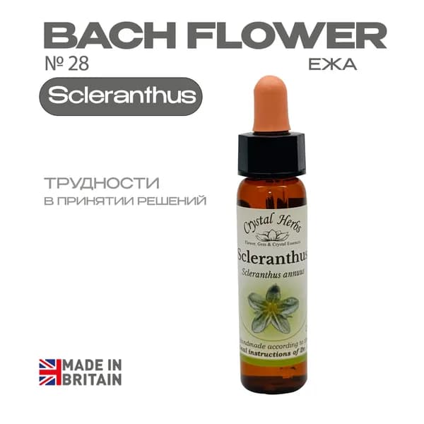 Scleranthus (Ежа) Склерантус, эссенция КЛАССИЧЕСКАЯ, Бах №28 - капли 10 мл. Англия