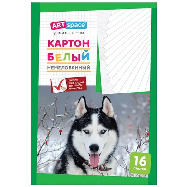 Картон белый А4, ArtSpace, 16л., немелованный, в папке (Нкн16б_6962 / 220683)