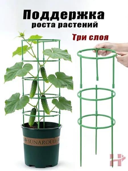 Шпалера,10см,3шт