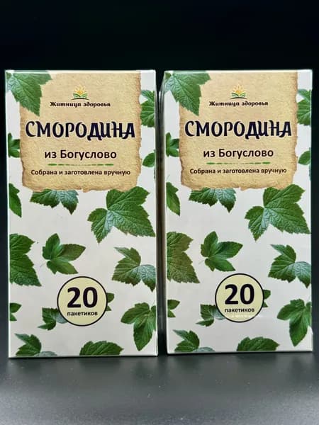 Смородина в пакетиках из Богуслово (2 уп. по 20 шт.) Житница здоровья