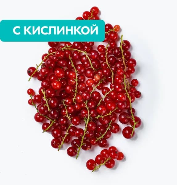 Смородина красная, на веточке, 125 г