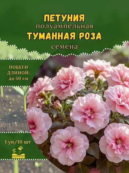 Петуния "Туманная Роза" семена, 1 пачка