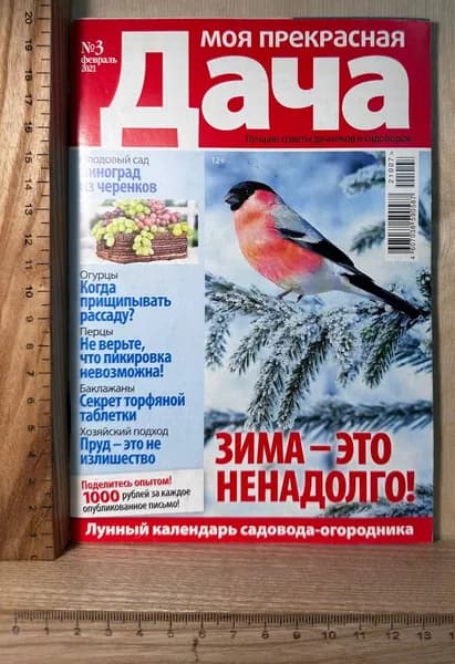 Журнал "Моя прекрасная дача" №3, февраль 2021 | Книга б/у