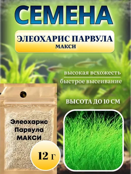 Семена растений для аквариума "Элеохарис Парвула макси"