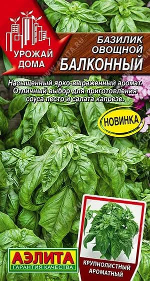 Базилик семена для посадки овощной балконный