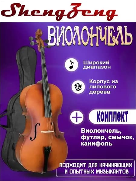 BN 4/4 - Виолончель, чехол и смычок в комплекте