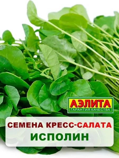 Семена кресс-салат "Исполин", 1 г, для дома, дачи и огорода, кресс-салат из семян, в открытый грунт