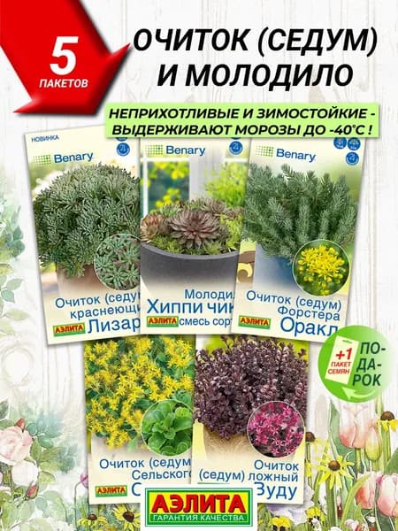 Набор семян цветов Очиток (Седум) и Молодило 5 сортов
