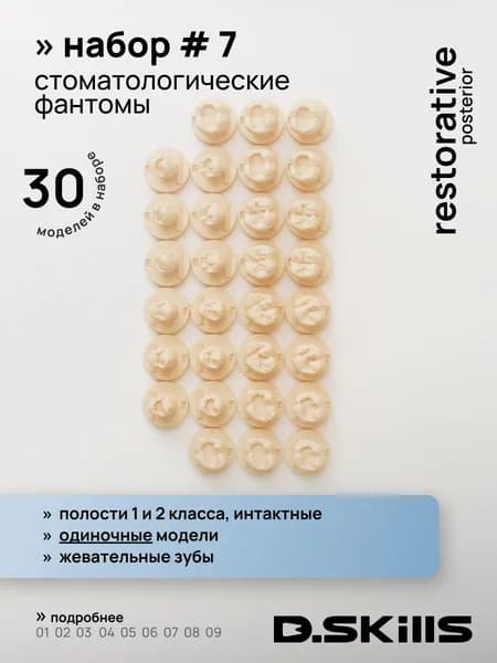 SET #7 Модели зубов для реставрации по 1 классу + интактные зубы