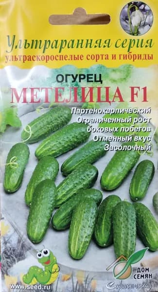 Огурец Метелица F1, ультраскороспелый, партенокарпический, ограниченный рост боковых побегов, отменный вкус, засолочный, хорошо переносит переувлажнение, 6 шт семян