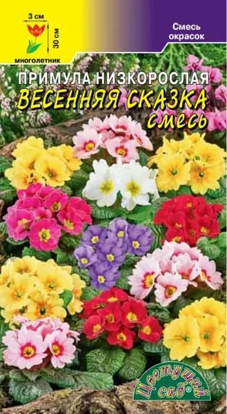 Примула низкорослая ВЕСЕННЯЯ СКАЗКА (смесь)