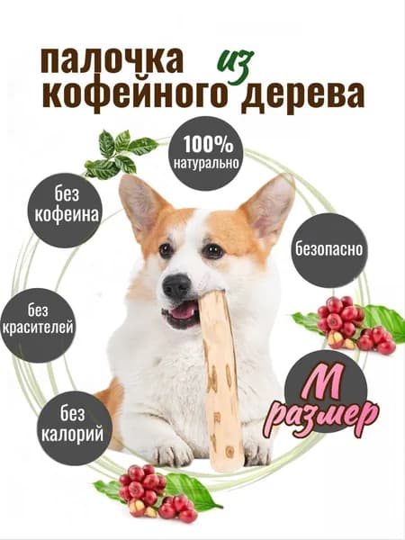 Деревянная палочка для собак из кофейного дерева