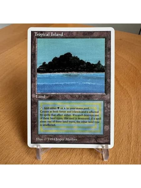 Заголовок: Волшебство в твоих руках: Уникальная карта Magic: The Gathering (MTG) с защитным протектором в подарок!