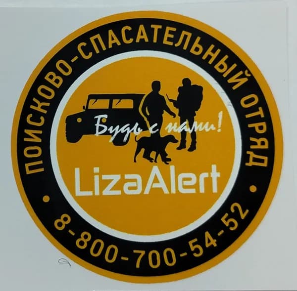 Наклейка/стикер LizaAlert 5х5 см ДЖИП