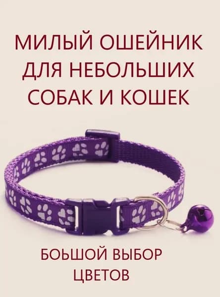Ошейник