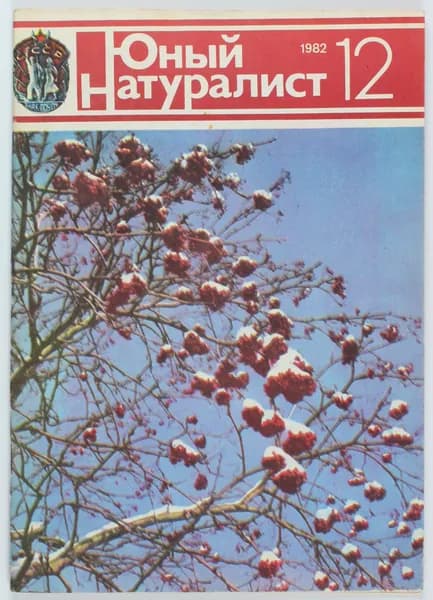 Винтажный журнал СССР Юный Натуралист, 1982 год