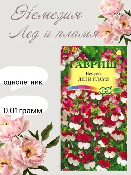 Немезия лед и пламя
