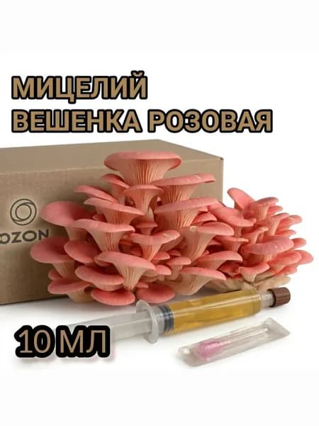 Жидкий Мицелий Вешенка Розовая