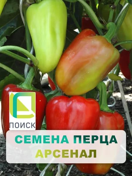 Семена Перца сладкого "Арсенал" 0,25 гр, для дома, дачи и огорода, в открытый грунт, в контейнер, на рассаду, на подоконник.