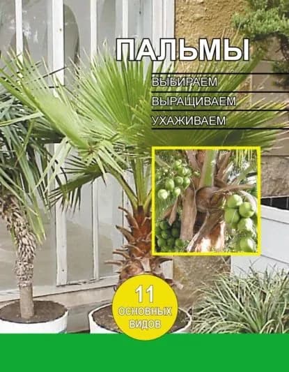 Пальмы. Выбираем, выращиваем, ухаживаем | Электронная книга