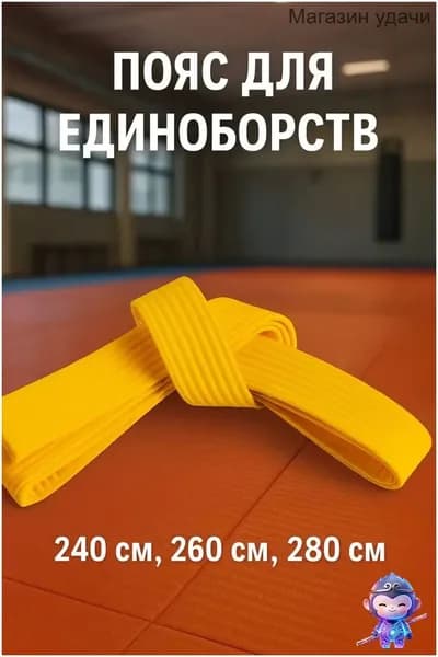Пояс для единоборств