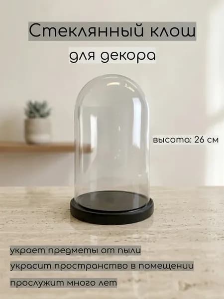 Стеклянный купол с деревянной подставкой для салона красоты