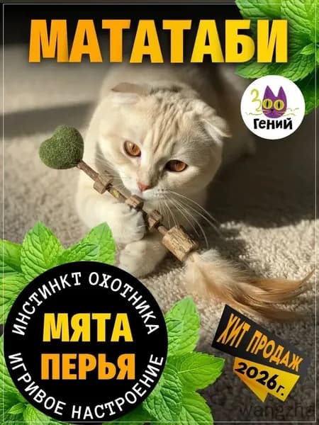 Жевательные палочки мататаби для кошек для чистки зубов игрушка для собак, кошек, котят и щенков (с перьями и мятным сердечком)