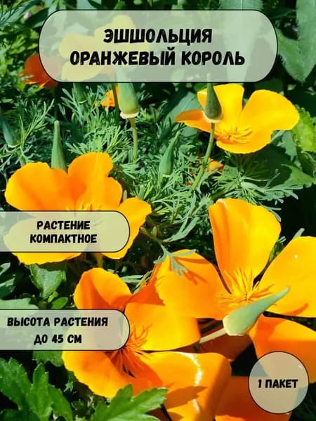 Эшшольция Оранжевый король семена 10 шт