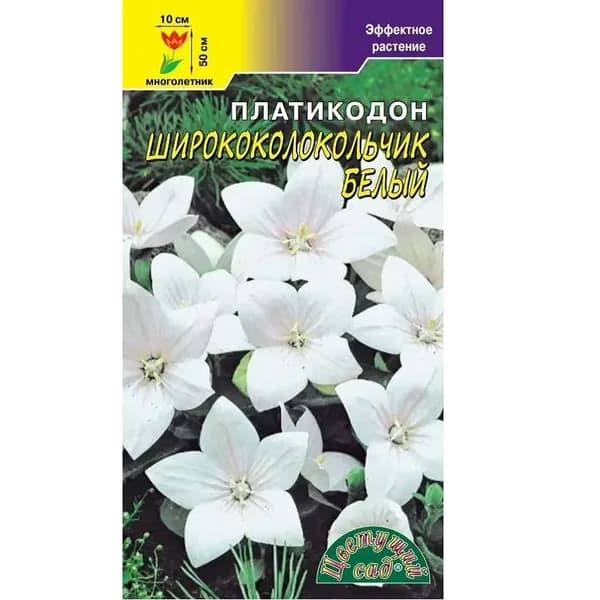 Платикодон (Ширококолокольчик) крупноцветковый Белые звёзды. Никого не оставит равнодушным! Семена Цветущий сад. 0,03гр.