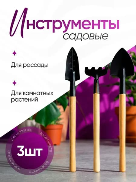 Набор для ухода за комнатными растениями (совки 21-22см, грабли 18см), ручки лакированные, металл, дерево