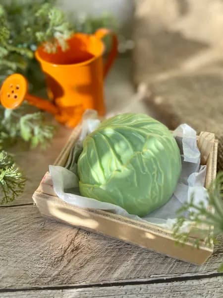 Капуста форма пластиковая для мыла и шоколада