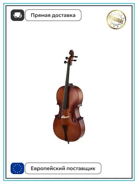 Виолончель Thomann Student Cello Set 4/4