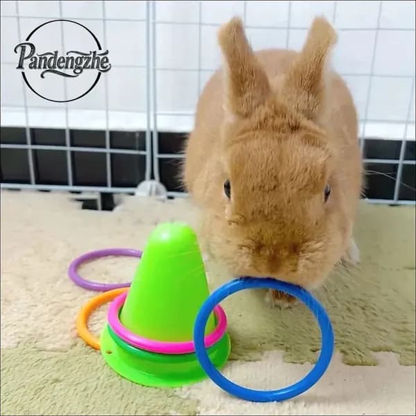 Игра в бросание колец с кроликами