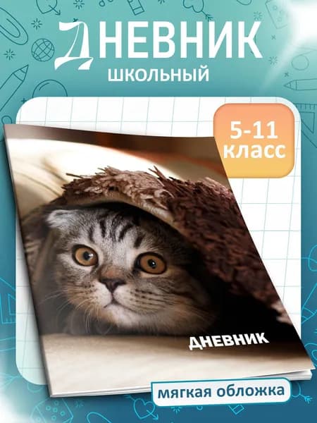 Дневник школьный A5, листов: 40