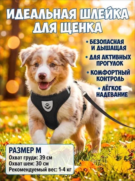 Шлейка для собак мелких пород и кошек с поводком дышащая сетчатая