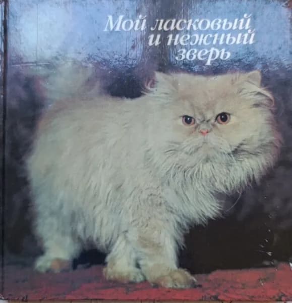Мой ласковый и нежный зверь: Фотоальбом