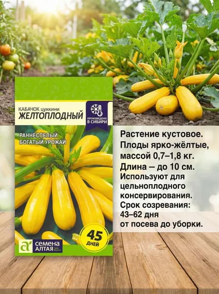 Семена кабачков Желтоплодные