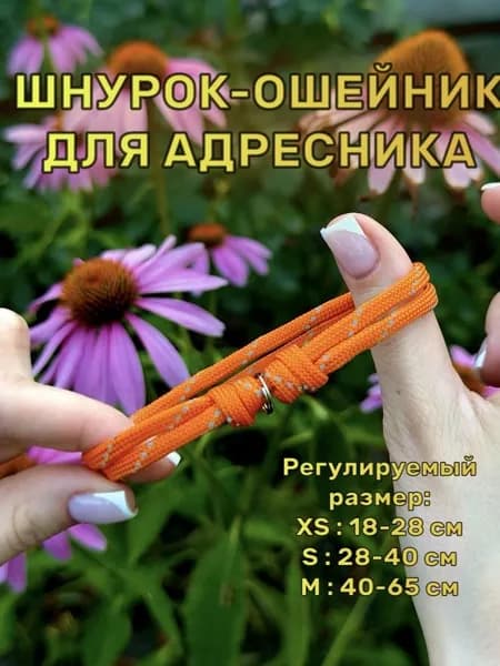 Ошейник-Шнурок для адресника из паракорда, Фанта, М (40-65 см)
