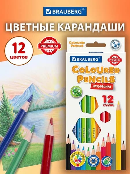 Карандаши цветные Brauberg Premium, 12 цветов, ударопрочные, шестигранные, грифель 3 мм