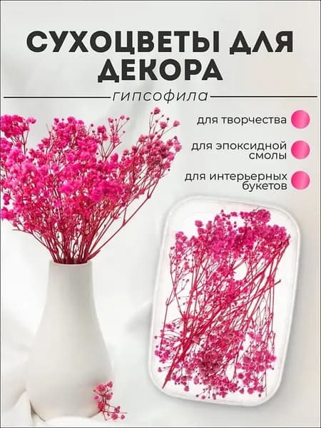Сухоцветы Гипсофила 1 шт малиновый