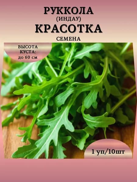 Руккола (индау) "Красотка" семена, 1 пачка