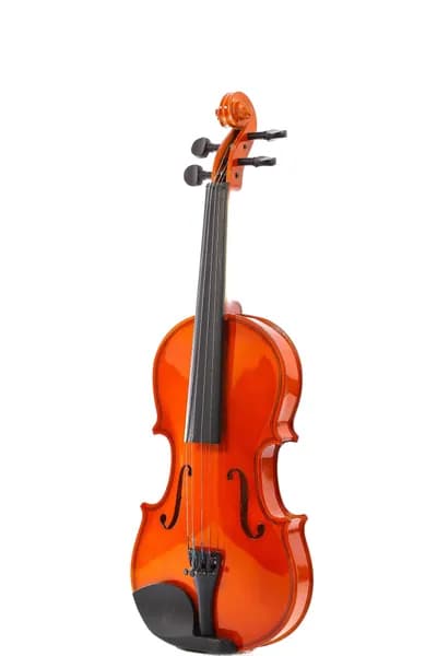 Скрипка в кейсе Fabio SF3600 (3/4), N