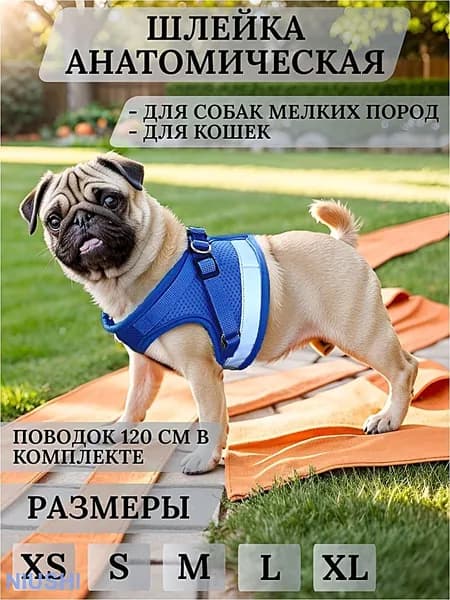 Шлейка-жилетка для собак и кошек с поводком. Для маленьких пород. Для прогулок.