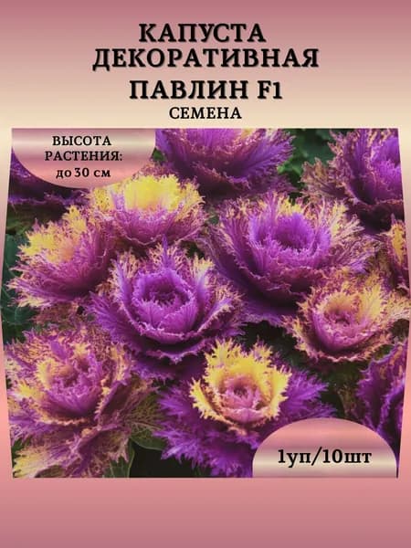 Капуста декоративная "Павлин F1" семена, 1 пачка