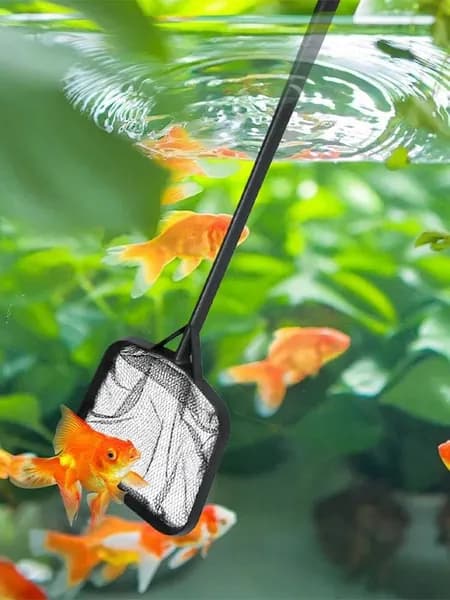 Сачок Для Аквариума И Рыб, Сетка Очистки Воды Удаления Мусора