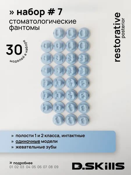 SET #7 Модели зубов для реставрации по 1 классу + интактные зубы
